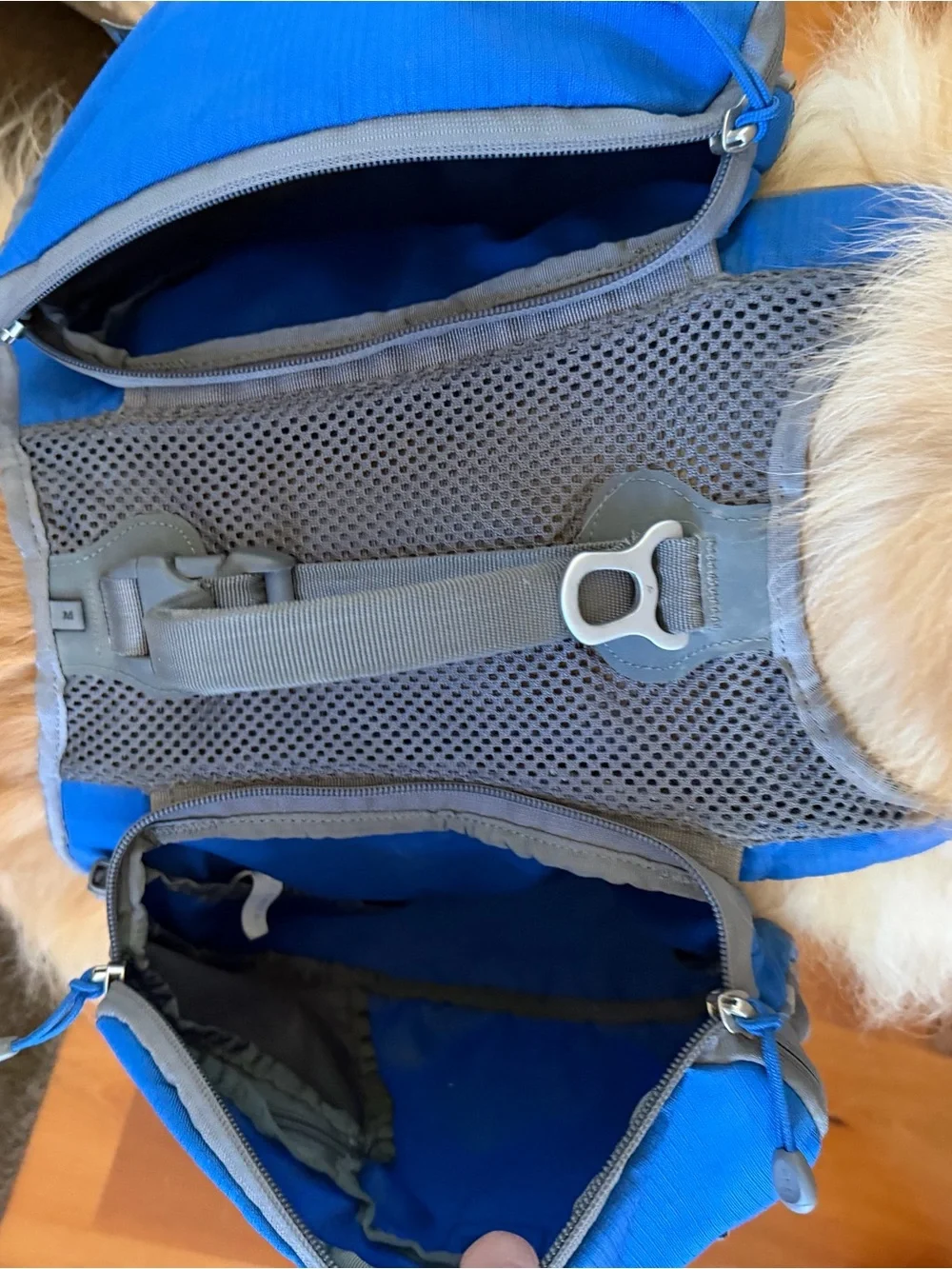REI Blue Dog Saddlebag Backpack - Compact Travel Pack